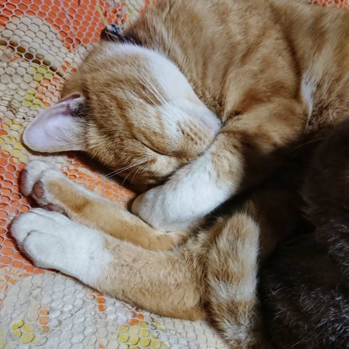 8e03a178 587e 4a40 94a2 6e9219fb4903 1574341519158