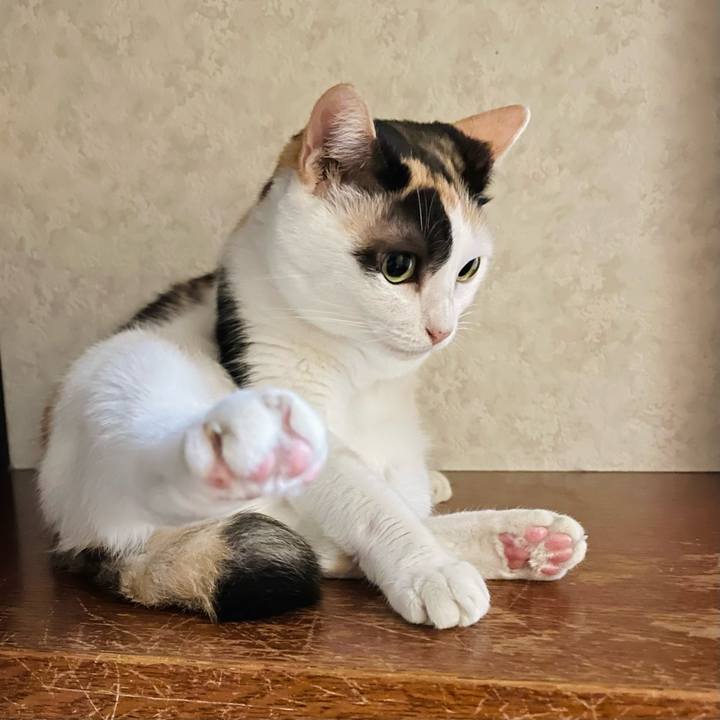 8e03aa1b 39fd 49bd 9572 0887f27eb5ea 1634783557624