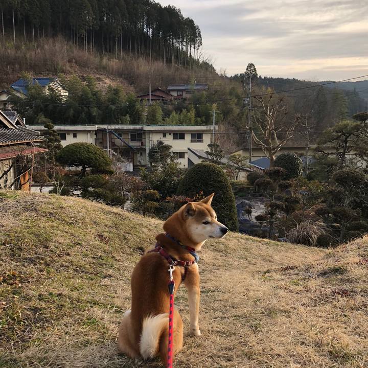 8e03dcc4 3fa1 41a7 8ff7 4c0ab79e9034 1519808865190