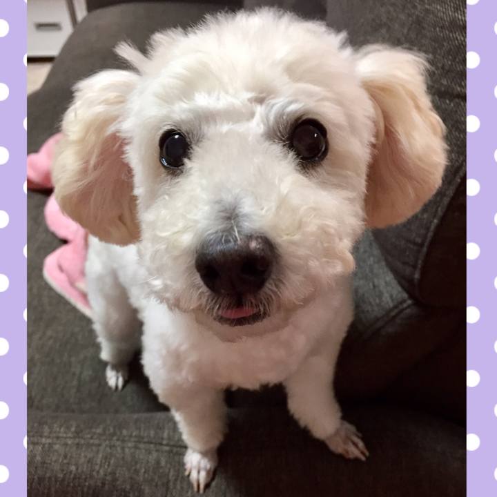 8e03e51f b7c0 44e8 953a da38ef2eb4df 1511404814219