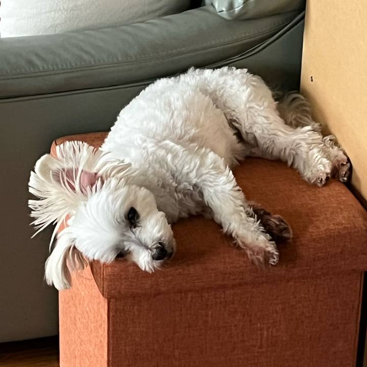 8e03ec0a 6e81 4c1e 8a39 8b31ef416e37 1655712136219