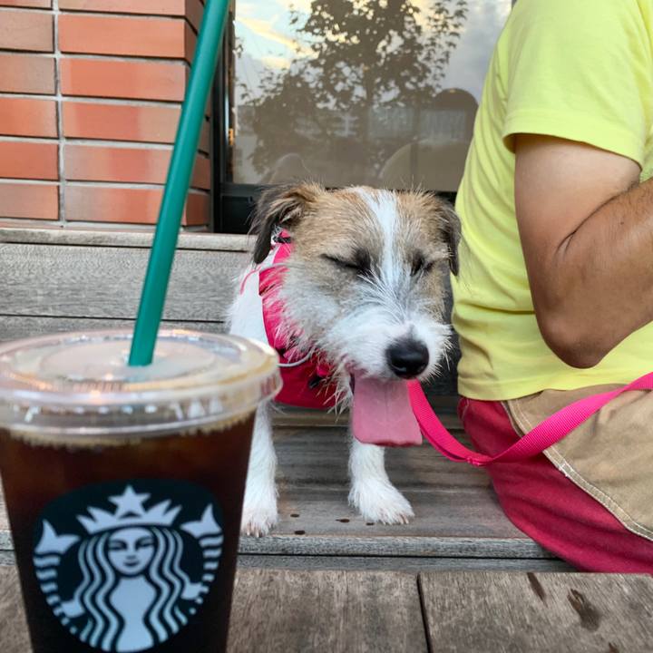 8e03f228 3ef3 4575 bdeb 7ac0fe3ec2e3 1567942169861