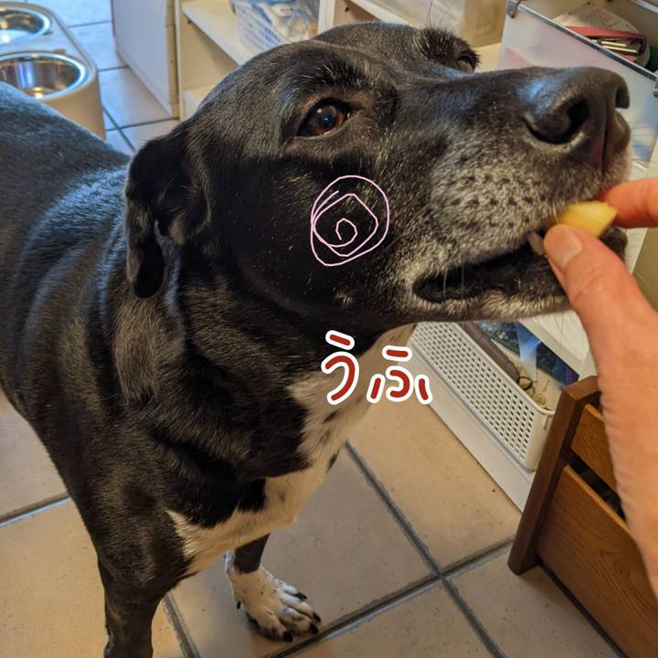 8e03fd7d 0e8b 42d5 b990 41af98803a3e 1697972705153