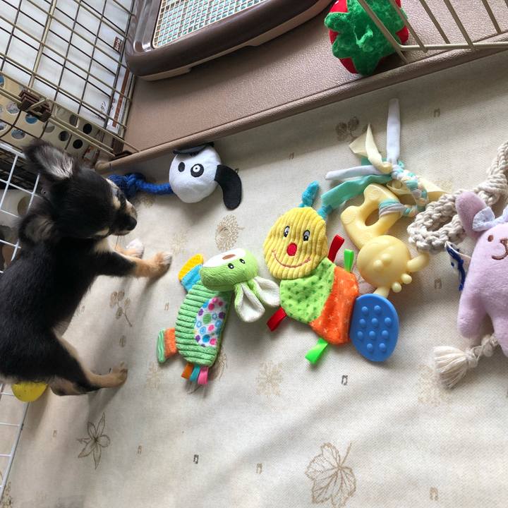 8e041a5e 7eb5 4735 aecd 89a48f1c910e 1536449485106