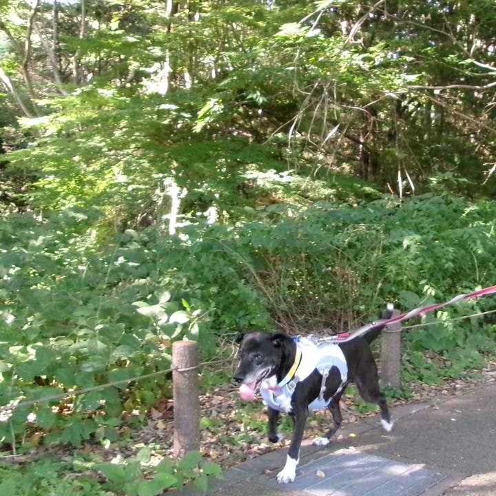 8e0433e2 a4a9 4e14 b5aa a840d219c1cd 1754614205440