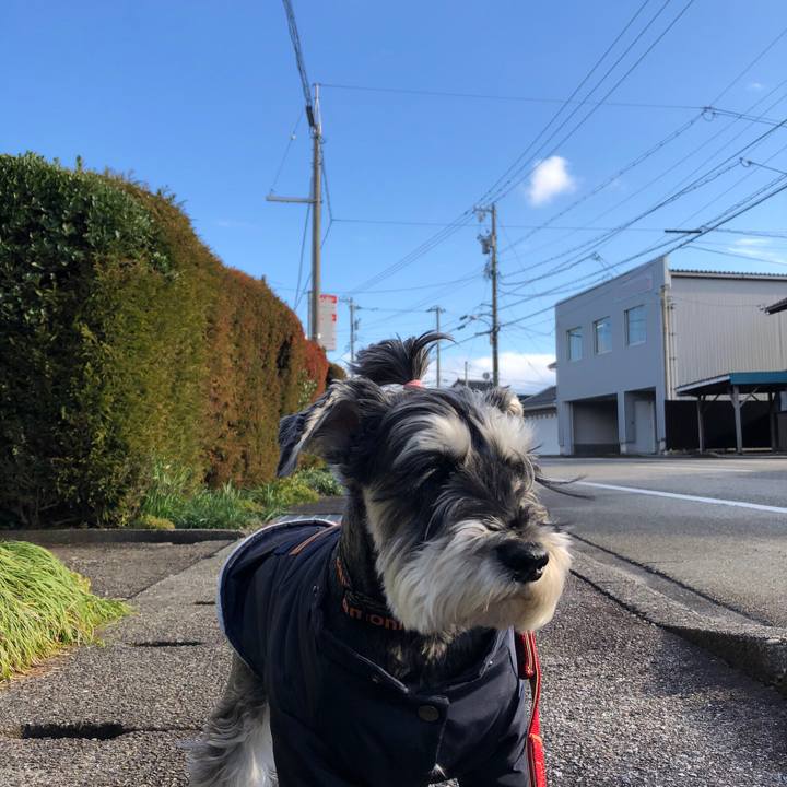 8e043a64 68c7 41f8 9ccd b49a886e3620 1674312915839