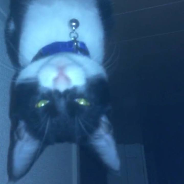 8e045fb4 89cc 4e95 9ff8 d544f4564e76 1517678392675