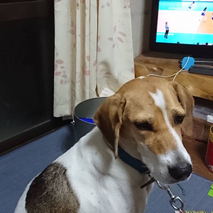 8e047d0d de35 4292 a296 24b246dafec9 1569671423167