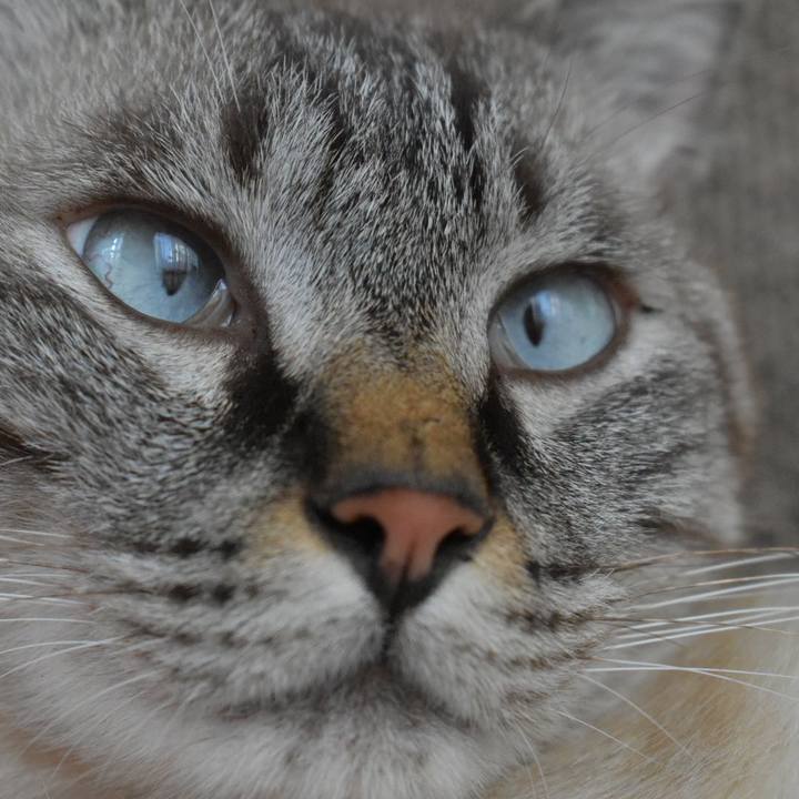 8e049969 968a 4622 b844 f47ef3dafbce 1569755019146