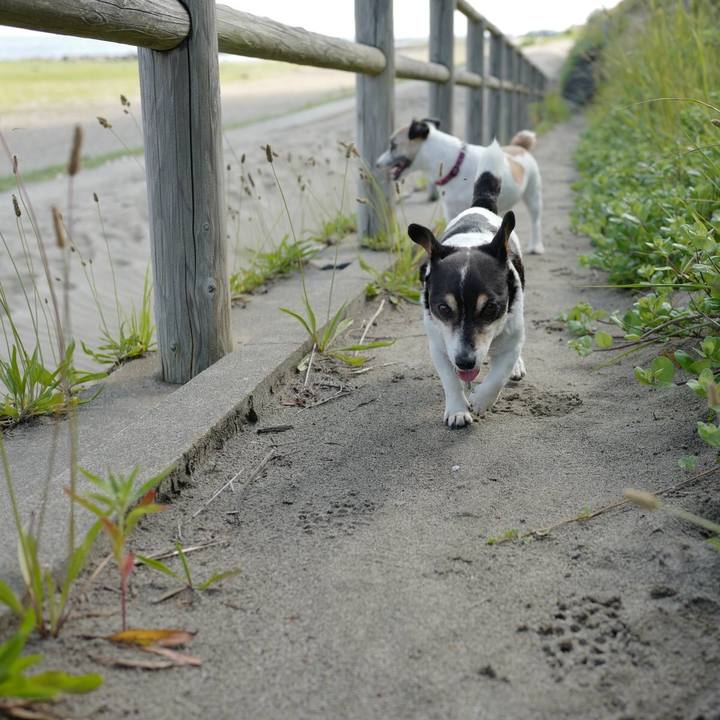 8e04af1b a3ec 486a b84e fd5aa4708462 1560050857441