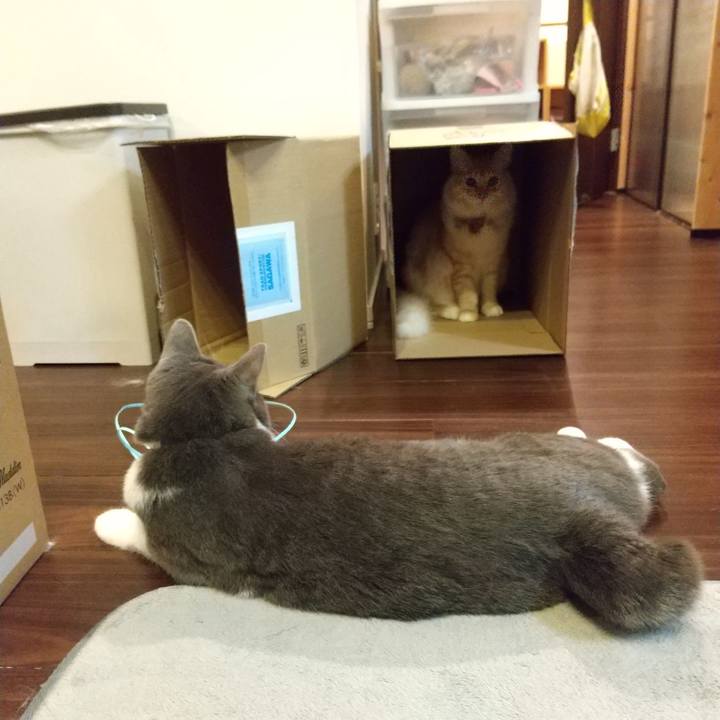 8e04b413 6718 4afe 9503 ab9c9e601a39 1635852841458