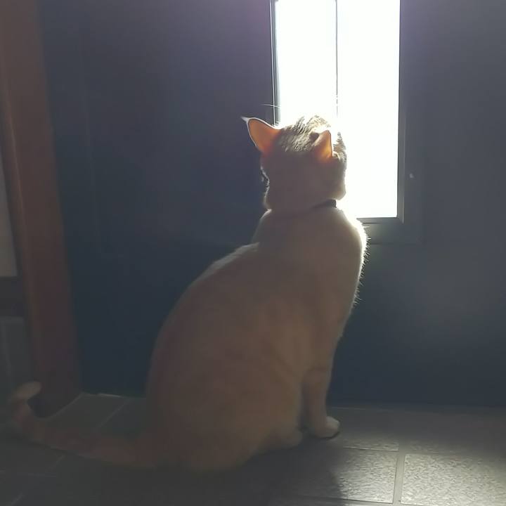 8e04c084 9155 414c 8ae4 7f129f22dddf 1631675443044