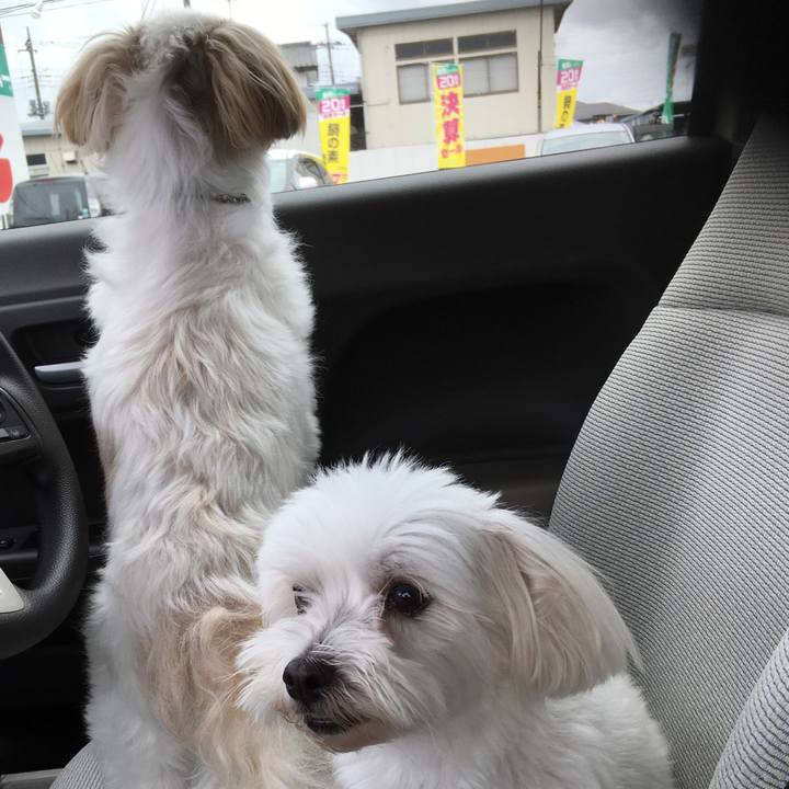 8e04e92d c7d9 4439 aaf6 256142260fdf 1599880160990