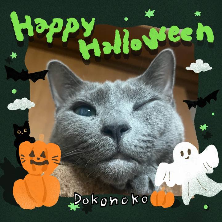 8e050162 1f0d 4083 86be 8c00c1323fed 1729944876489