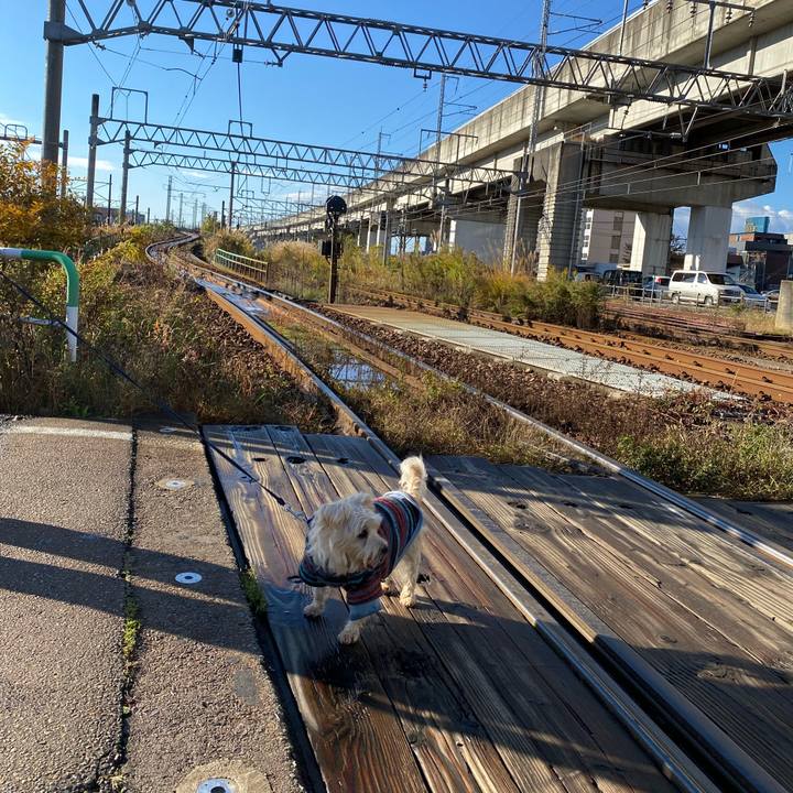 8e051ab2 77d9 4e4d a3f4 f40e1c930e62 1667732220291
