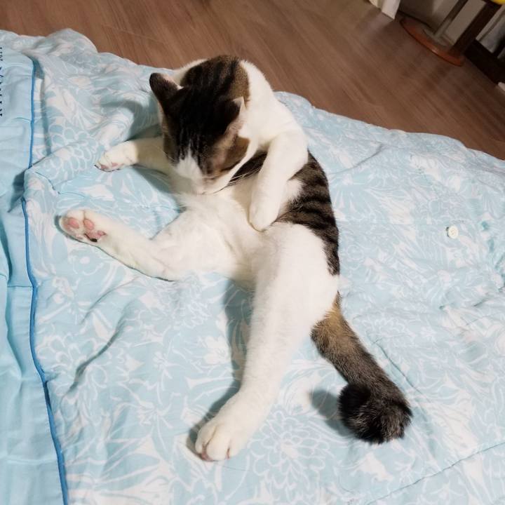 8e051eb2 4713 425c 88c4 44d71bd45a06 1620131354253