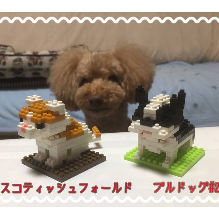 8e056023 d947 4091 aa18 606232fe5870 1539254151413