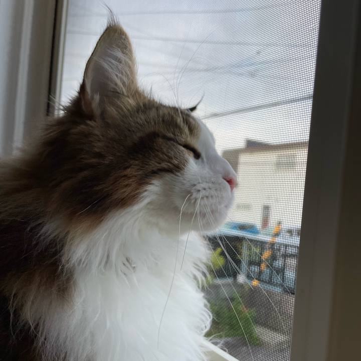 8e056b44 9829 442a b721 706c1261b0b4 1655236338411