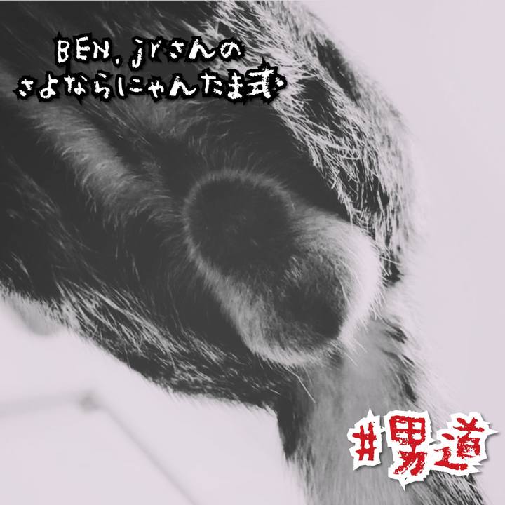 8e05b7dc 3230 44db a9cf 432aa5dd789a 1567684906709