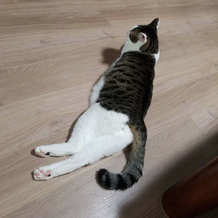 8e05cea5 e852 4157 a86d 179300a1a8a6 1566507926552