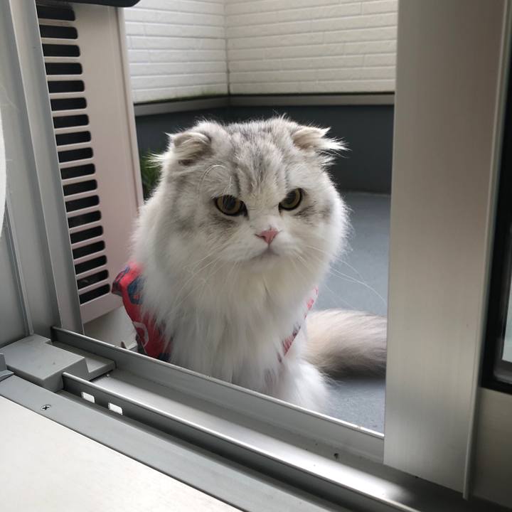 8e05d088 d81a 4abe ae7c ebc46ae4595e 1666474658141