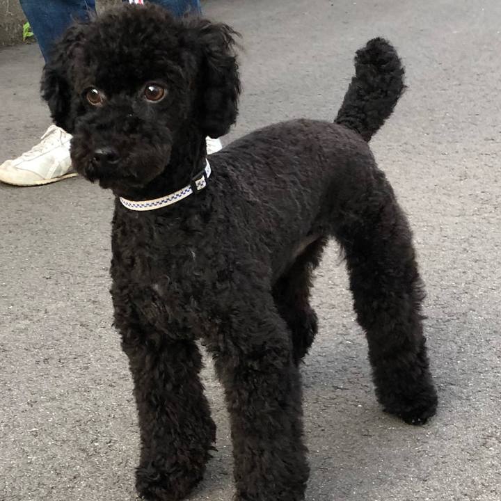 8e0615ff 62e6 42be ac07 609e49e161a1 1532290677772