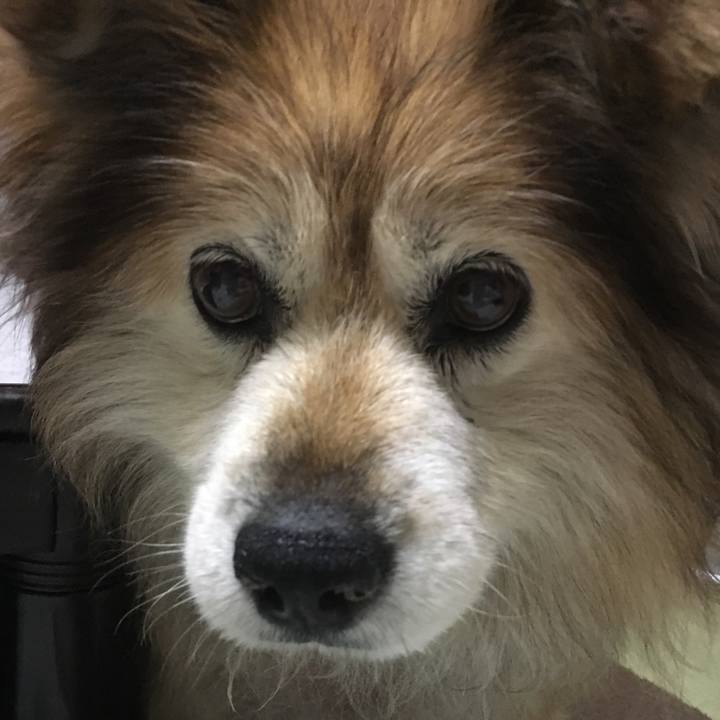 8e061bf6 0ec9 4605 8c04 6570663bca33 1548504309515