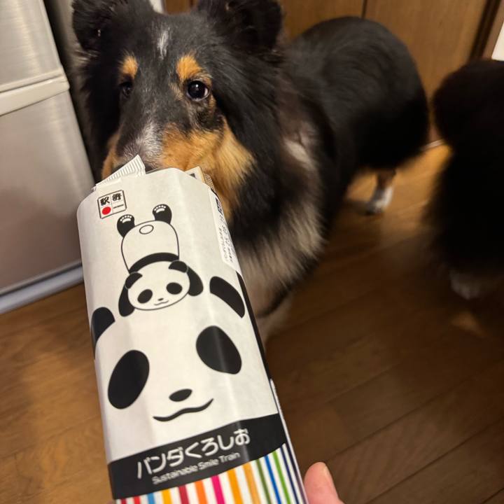 8e063ab2 0b79 421b b860 7f0b164da2f7 1751217956450