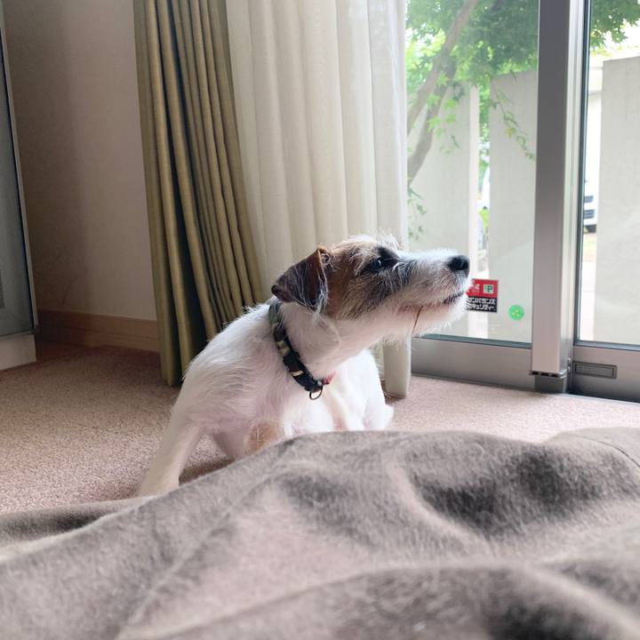 8e064022 db0c 4028 866f 416a20ac540c 1562839530076