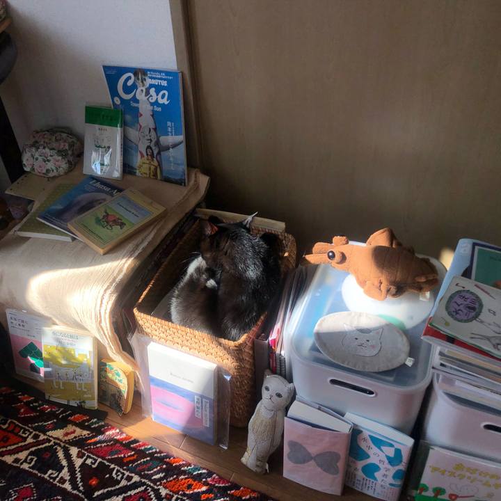 8e066363 d358 4398 82e4 0e40d0948bef 1668303992799