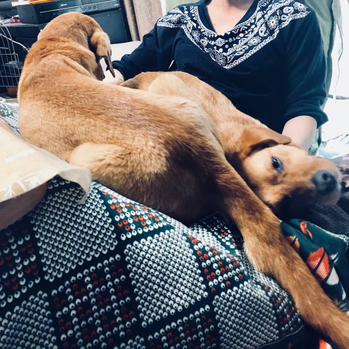 8e068862 ebe1 48c3 ae50 423791711074 1526208267285