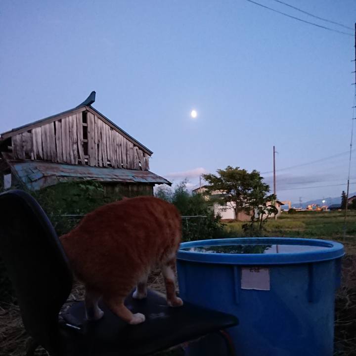 8e0689a6 02a0 4dbf a1f3 160bfcedbbca 1601283175485