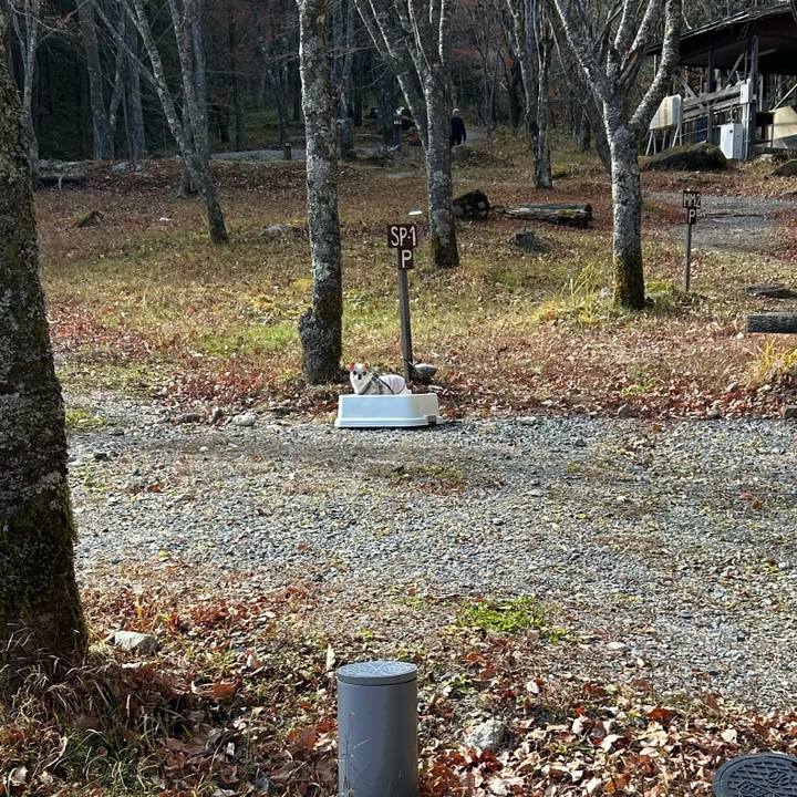 8e068e5b 4f3b 45db 94ff 682acd96b15f 1763965125955