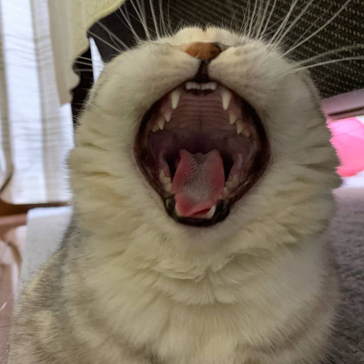 8e06974d d5f1 4a38 a78a 0161792cb1bc 1709026234925