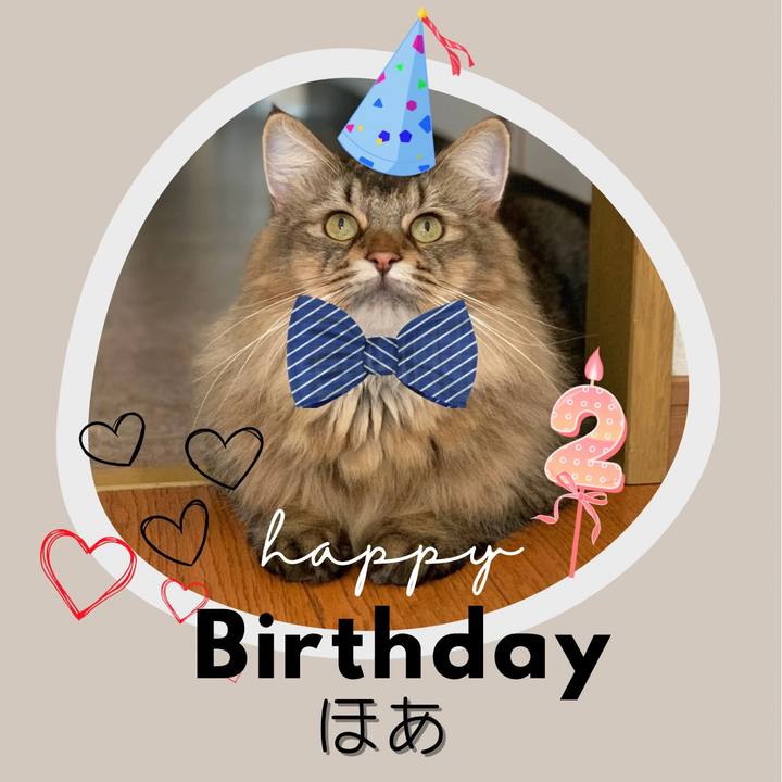 8e069809 d10d 4d8a acad b34defb93b46 1758147716248