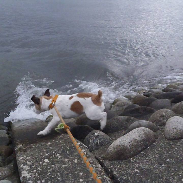 8e06fe33 aad2 4d8d a584 47bd925fc3ec 1525861944149