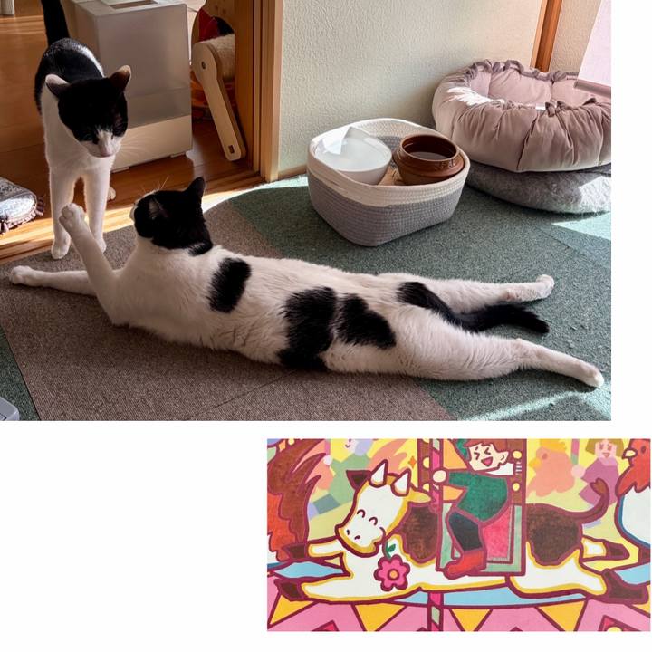 8e0771e3 9e98 455c 9e1e 48804ea8639b 1769954080092