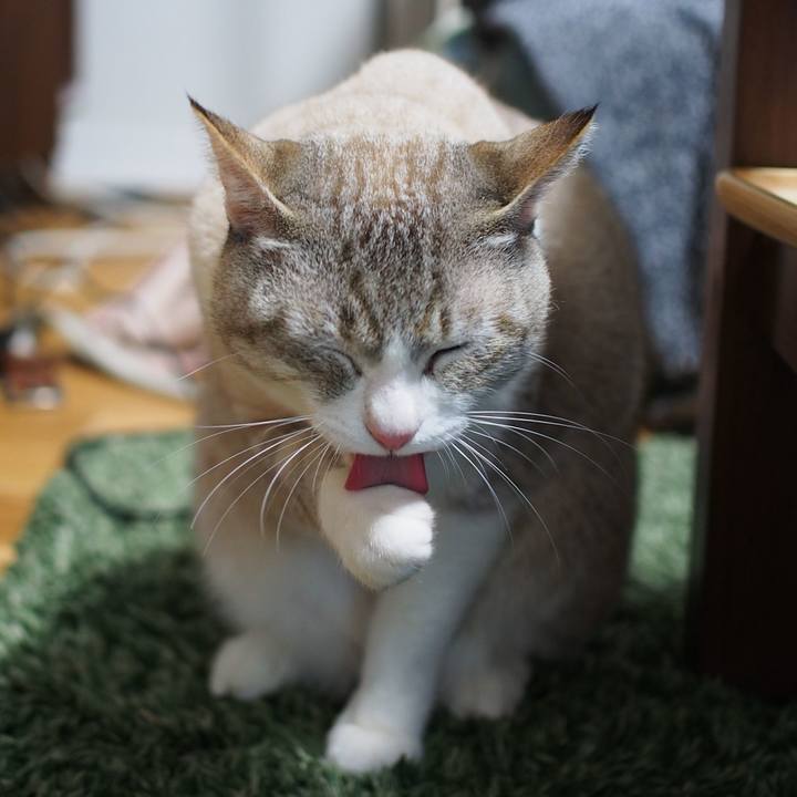 8e077eb2 62dd 42e3 b7b2 3a10c52842c1 1583415263703