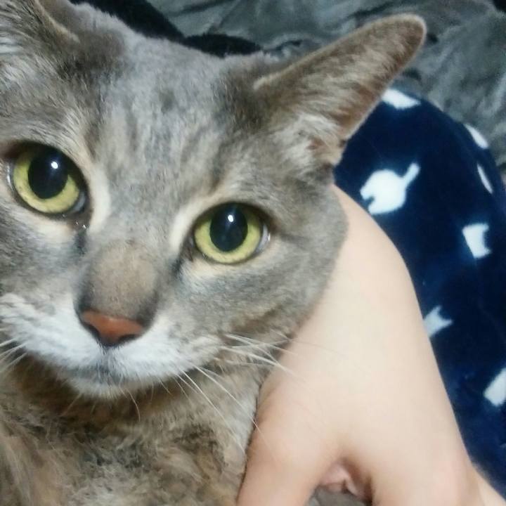 8e07b531 7c3d 4e10 adb0 7a992278f021 1521034435393