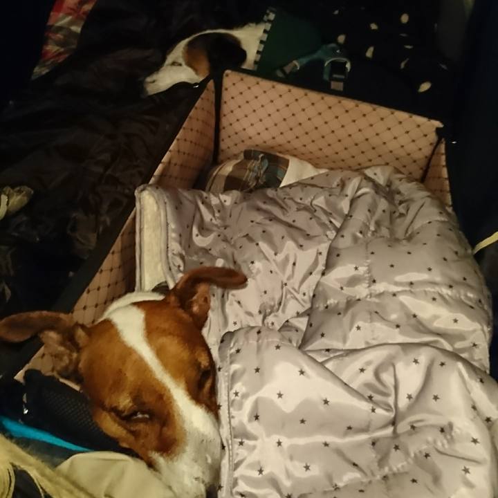 8e07cc0f 1636 428c b46a 94892d64ea24 1604751752015