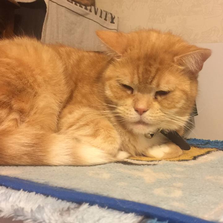 8e085d87 37a4 4fa1 89d2 a6f3959d9e55 1547826059354