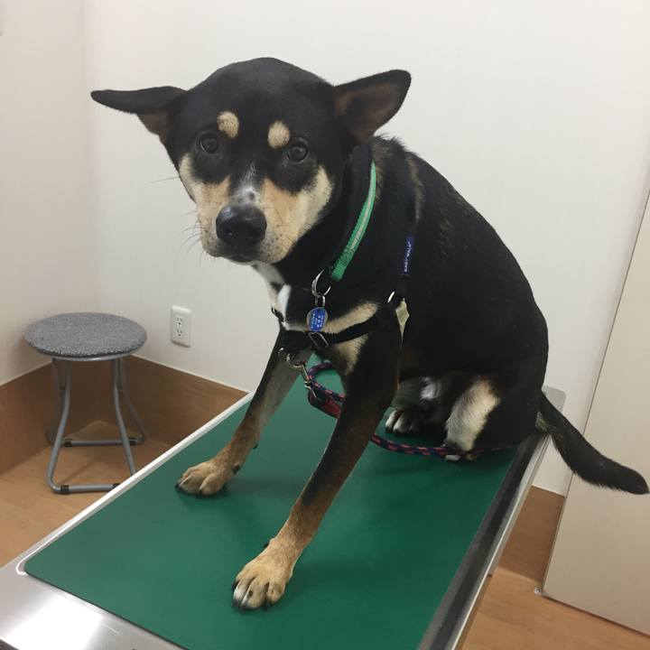 8e089295 0c64 408f a1f9 a9d5476ccd26 1528177849271