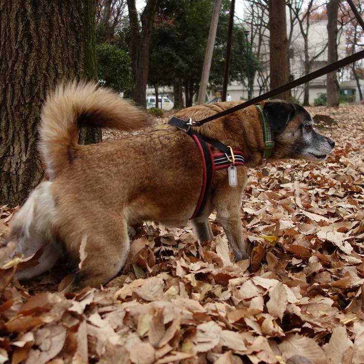 8e08a652 a80a 4c92 bd27 b2490bf70052 1623371301453