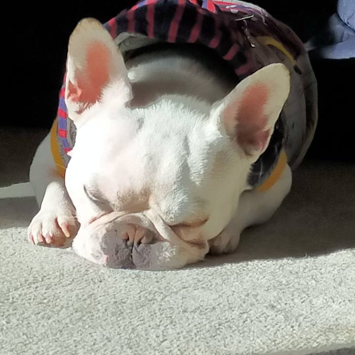 8e08ac76 d0ec 4a12 940d cce967ac86ae 1639355762767