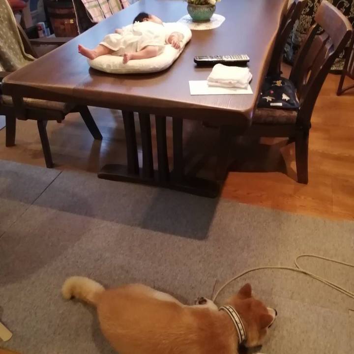 8e08c54f d9af 4305 b14d cbdb94e64a94 1595410914552