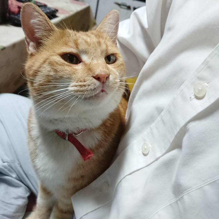 8e08cdb7 5a90 4337 8bbd 2cafaaa07928 1573552811071