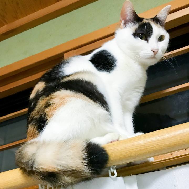 8e08e40e 3d3d 4043 833a 4378efa03b80 1516028821993