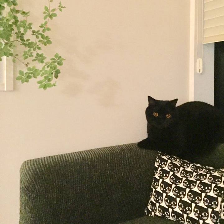 8e08f82c 196f 499e 9648 1f909ca53c29 1533386119622