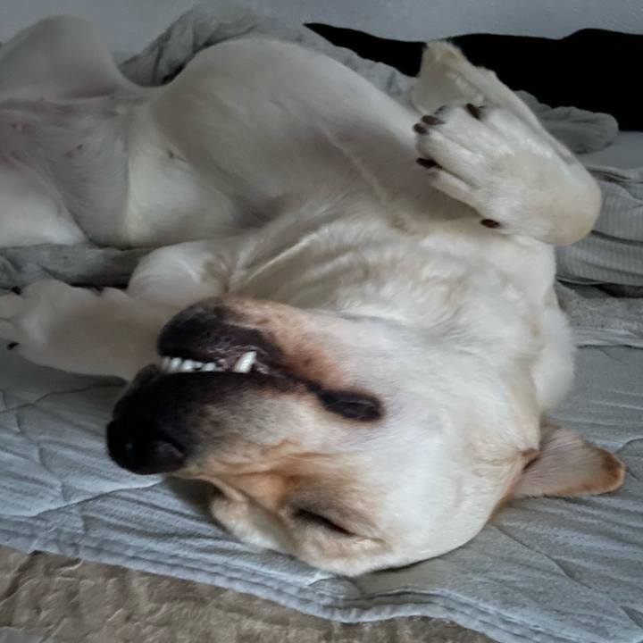 8e093f6e 69a0 461a be54 55f2a698a255 1660888132167