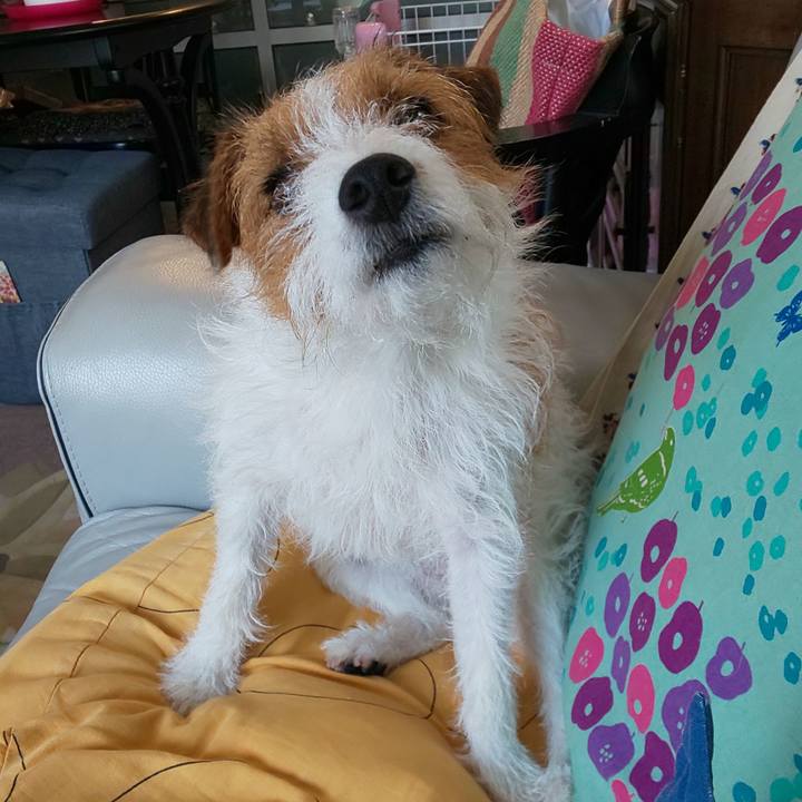 8e0941b1 4522 422a abe3 a351af690663 1565326315148